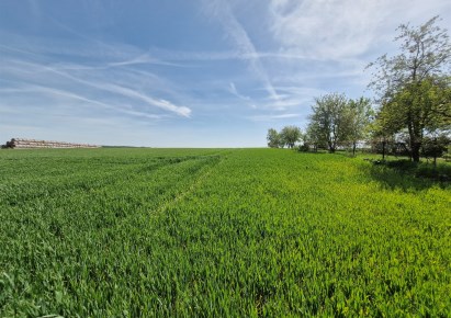 dom na sprzedaż - Polska Cerekiew, Grzędzin, Kościelna